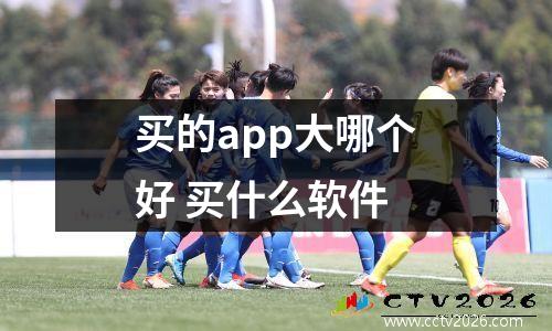 买的app大哪个好 买什么软件
