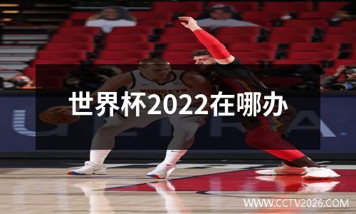 世界杯2022在哪办
