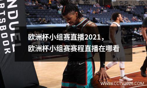 欧洲杯小组赛直播2021，欧洲杯小组赛赛程直播在哪看