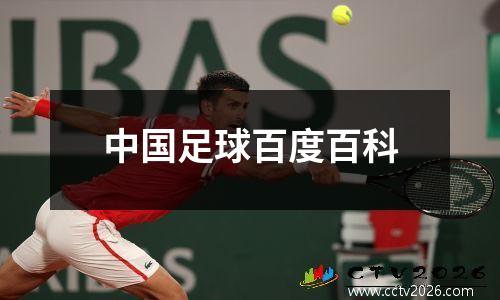 中国足球百度百科