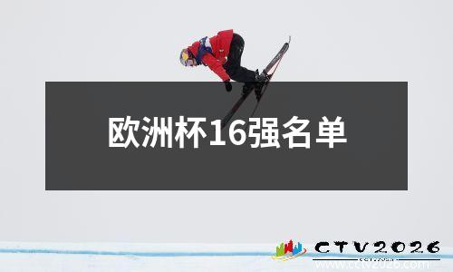 欧洲杯16强名单