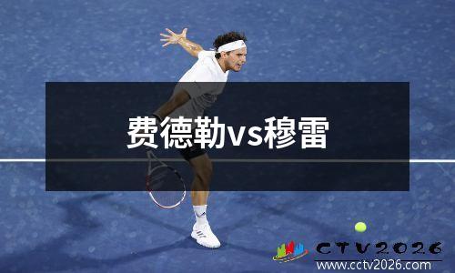 费德勒vs穆雷