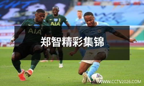 郑智精彩集锦