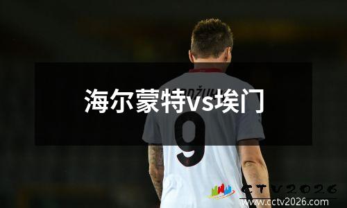 海尔蒙特vs埃门
