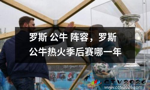 罗斯 公牛 阵容，罗斯公牛热火季后赛哪一年