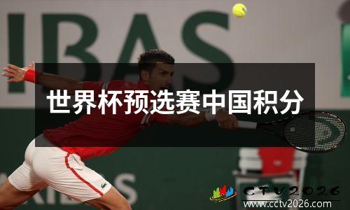 世界杯预选赛中国积分