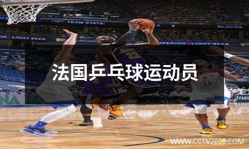 法国乒乓球运动员