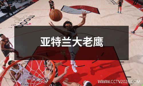 亚特兰大老鹰