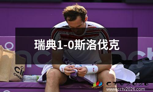 瑞典1-0斯洛伐克