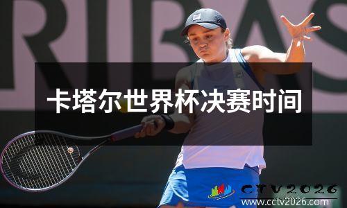 卡塔尔世界杯决赛时间