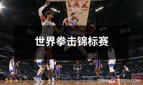 世界拳击锦标赛