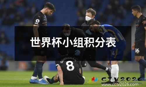 世界杯小组积分表