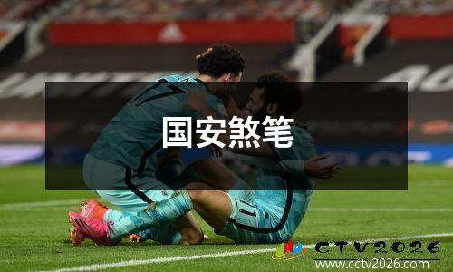 国安煞笔