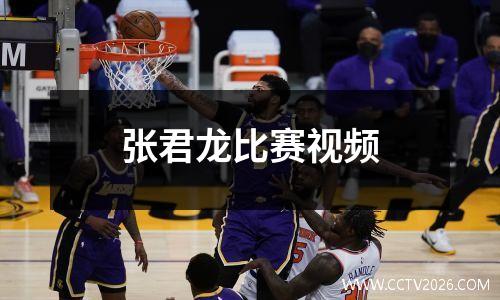 张君龙比赛视频