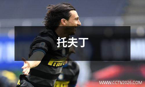 托夫丁