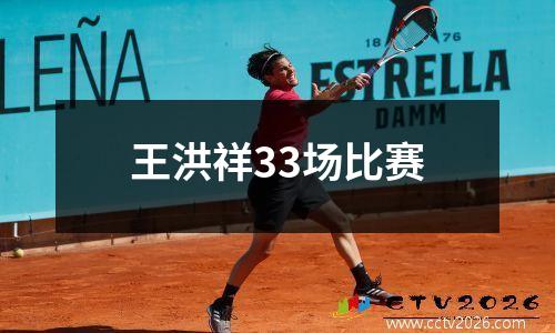 王洪祥33场比赛