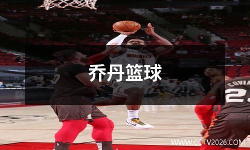 乔丹篮球