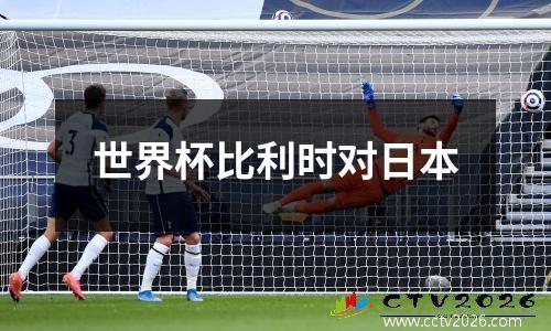 世界杯比利时对日本