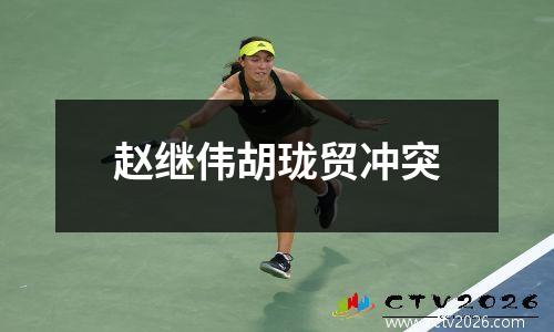 赵继伟胡珑贸冲突