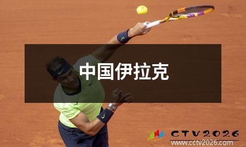 中国伊拉克