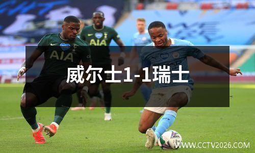 威尔士1-1瑞士
