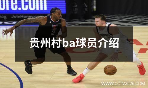 贵州村ba球员介绍