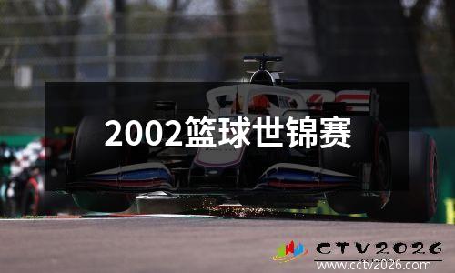 2002篮球世锦赛