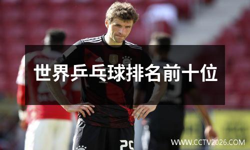 世界乒乓球排名前十位