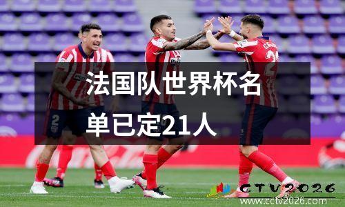 法国队世界杯名单已定21人