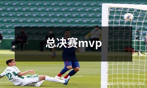 总决赛mvp