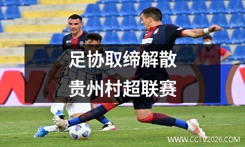 足协取缔解散贵州村超联赛