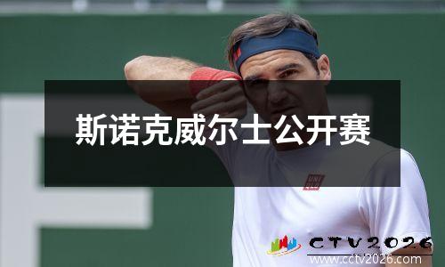 斯诺克威尔士公开赛