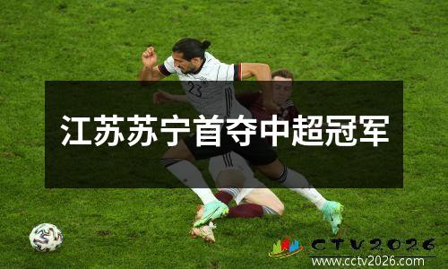 江苏苏宁首夺中超冠军