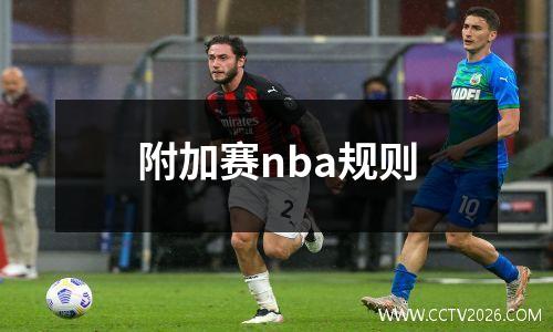 附加赛nba规则