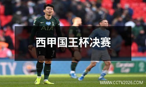 西甲国王杯决赛