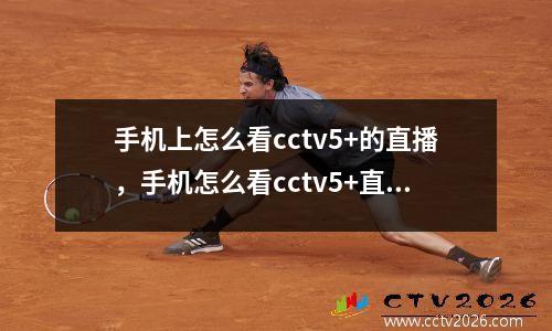 手机上怎么看cctv5+的直播，手机怎么看cctv5+直播