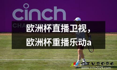 欧洲杯直播卫视，欧洲杯重播乐动a