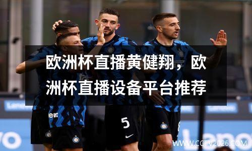 欧洲杯直播黄健翔，欧洲杯直播设备平台推荐