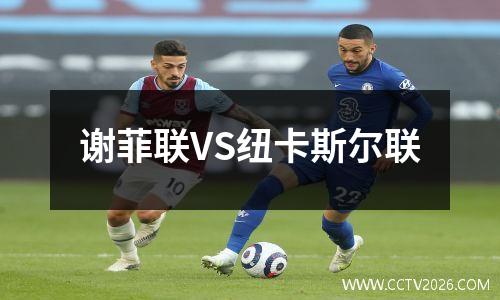 谢菲联VS纽卡斯尔联