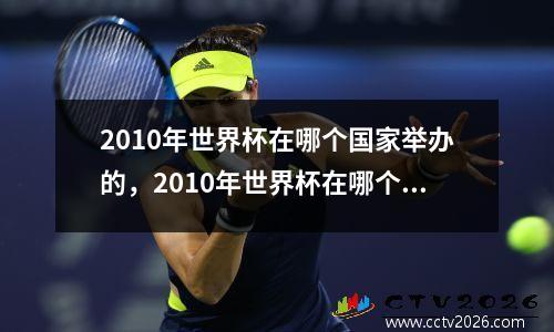 2010年世界杯在哪个国家举办的，2010年世界杯在哪个国家