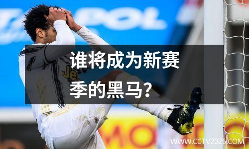 谁将成为新赛季的黑马？