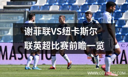 谢菲联VS纽卡斯尔联英超比赛前瞻一览