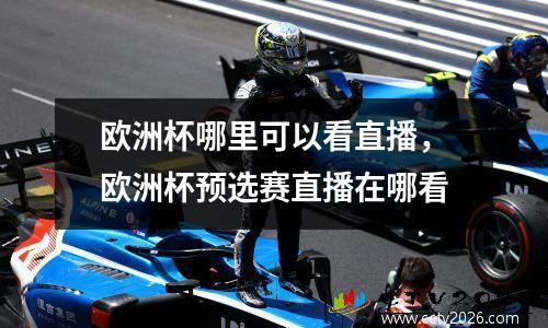 欧洲杯哪里可以看直播，欧洲杯预选赛直播在哪看
