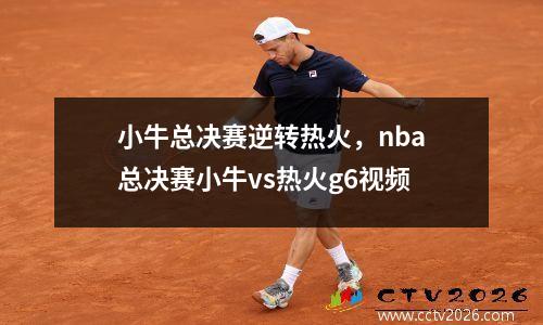 小牛总决赛逆转热火，nba总决赛小牛vs热火g6视频