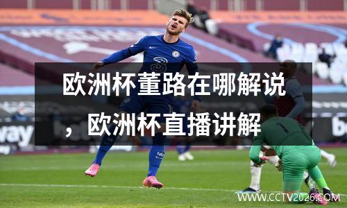 欧洲杯董路在哪解说，欧洲杯直播讲解