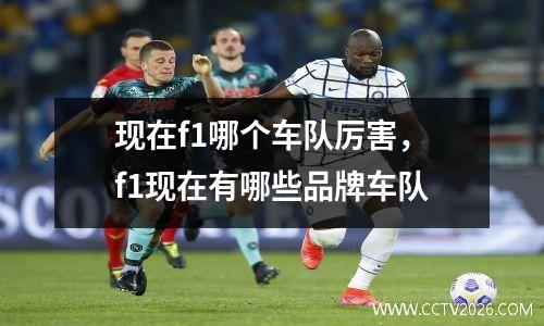 现在f1哪个车队厉害，f1现在有哪些品牌车队