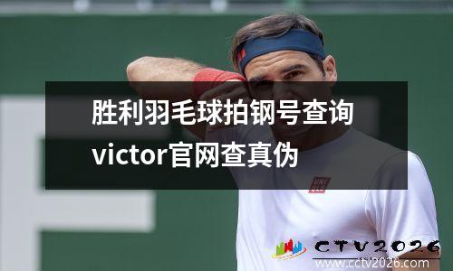 胜利羽毛球拍钢号查询 victor官网查真伪