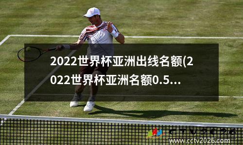 2022世界杯亚洲出线名额(2022世界杯亚洲名额0.5)