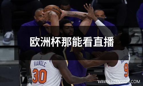 欧洲杯那能看直播
