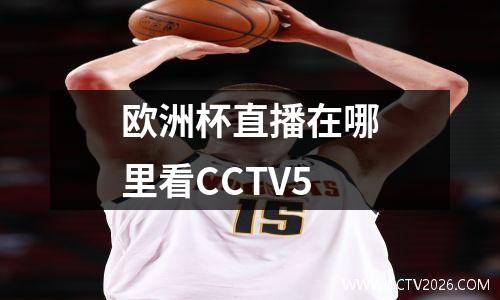 欧洲杯直播在哪里看CCTV5